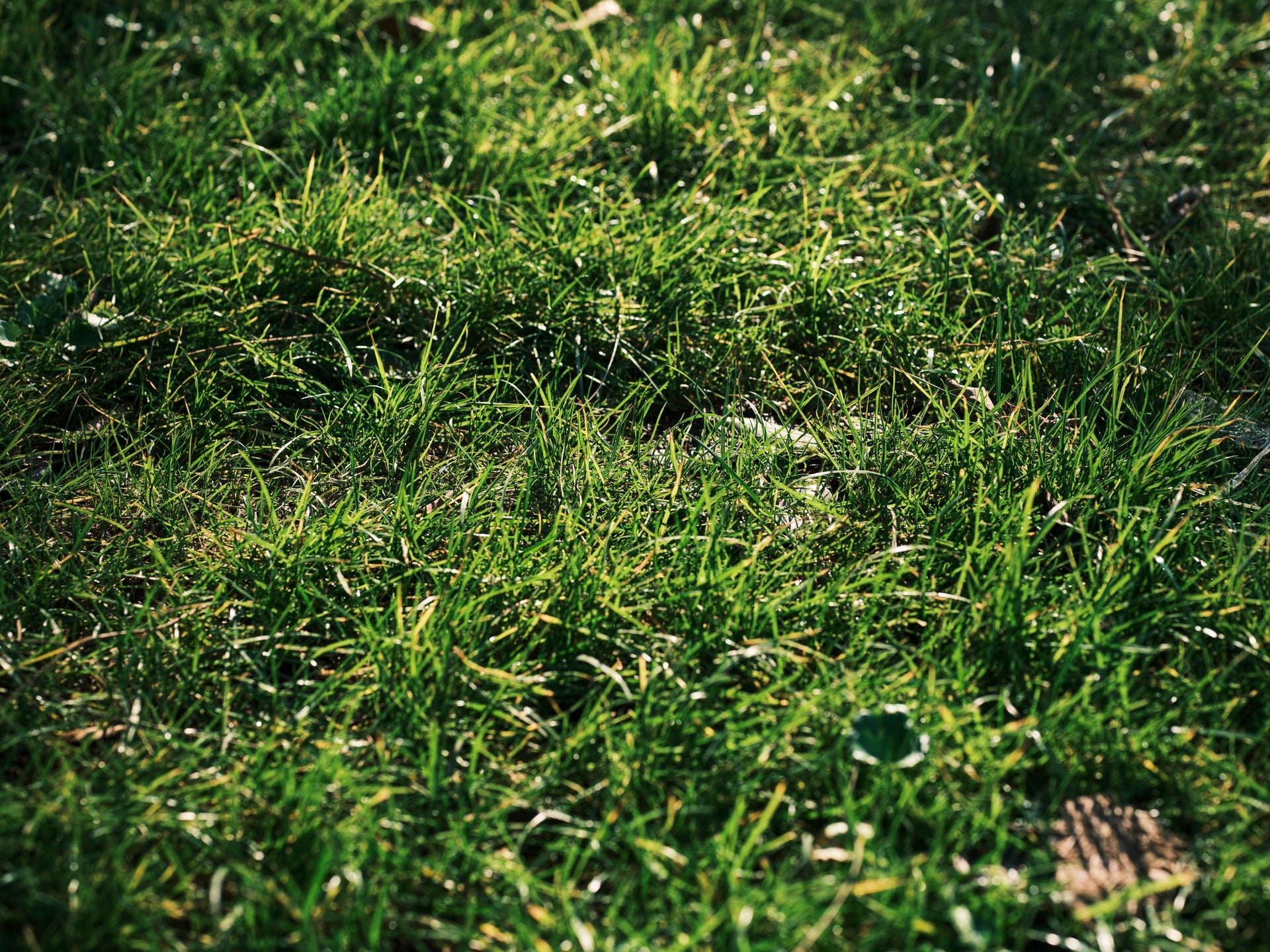 Taking Soil Samples Before Fall Fertilizer: How to Get Results You Can Trust