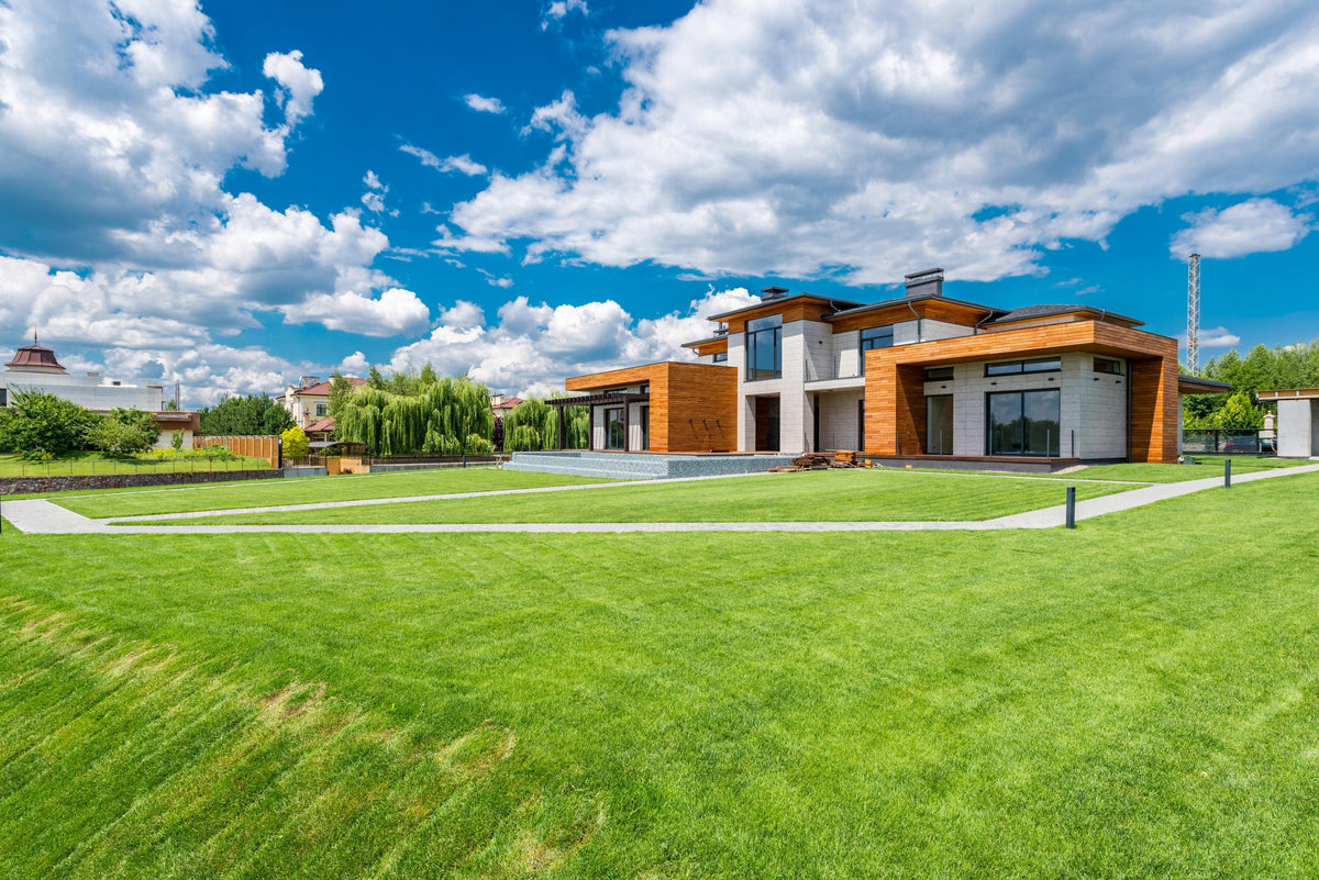Ultimate Summer Lawn Care Guide: Keep Your Grass Green and Healthy All Season