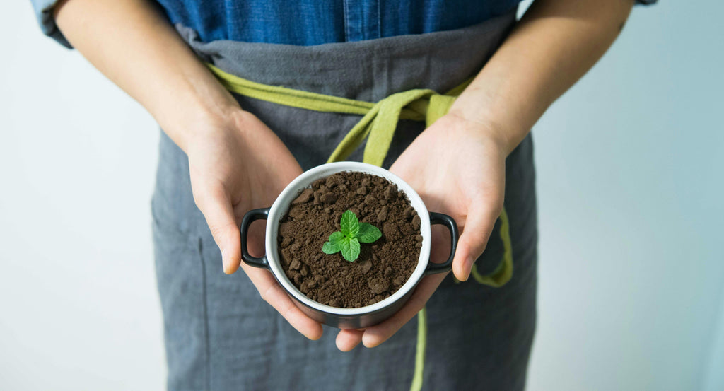 DIY Soil Test at Home vs. Professional Lab—What You Need to Know