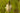 Fall Fertilizing for Perennials Using Triple 10 for Long-Term Garden Health