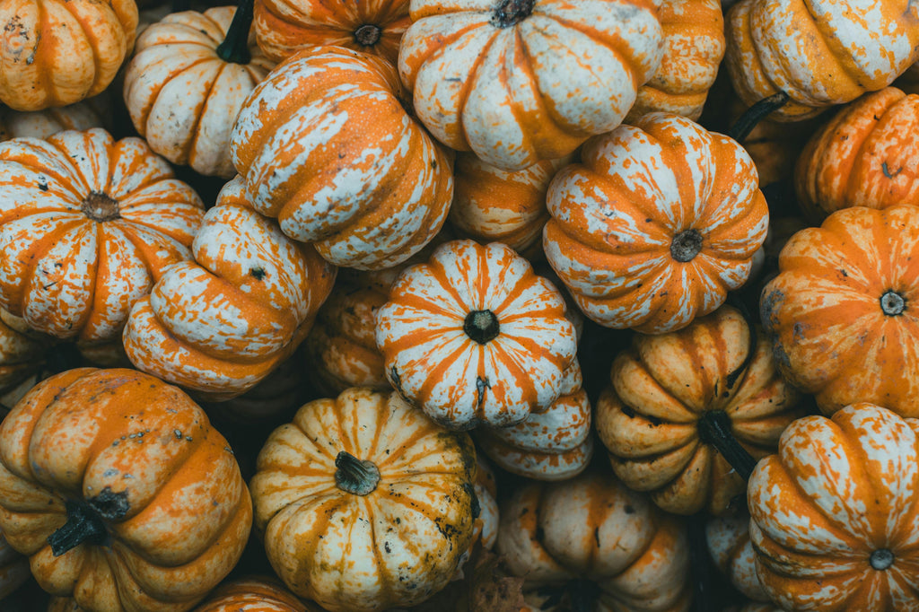 Potash for Pumpkins: Extending Shelf Life After Harvest