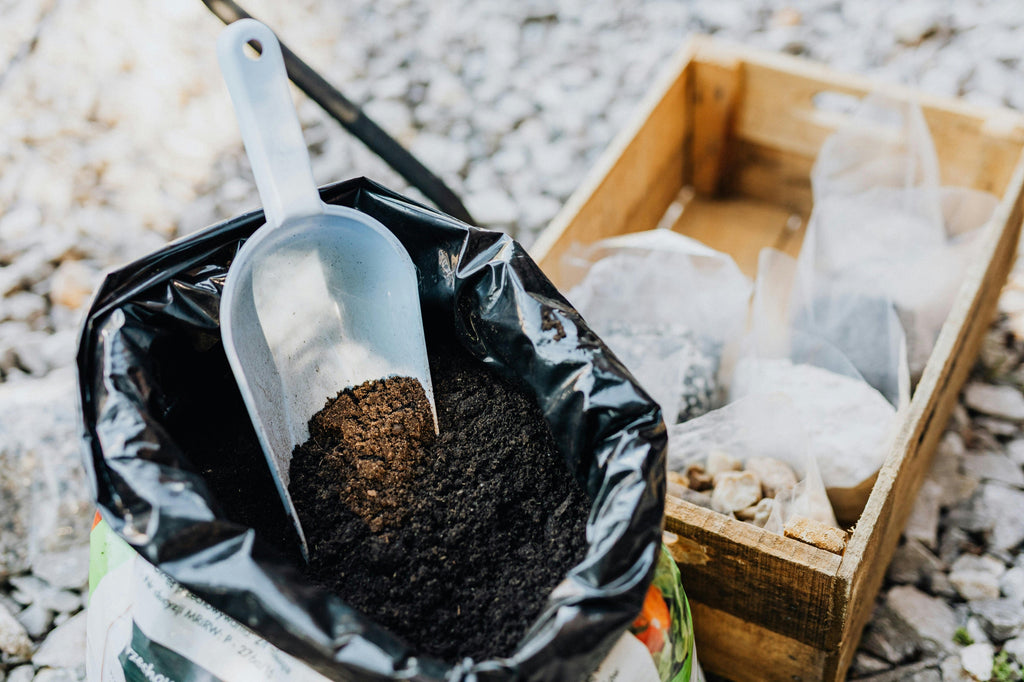 Early Spring Lawn Fertilizer Schedule For The Pacific Northwest: When And How To Feed