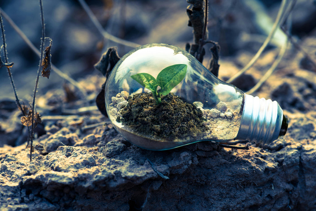 Seasonal Soil Testing: When and Why Timing Matters