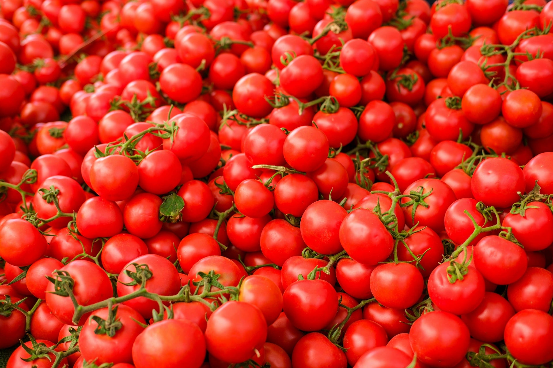 Tomatoes in May: Fertility Choices That Prevent Problems Later