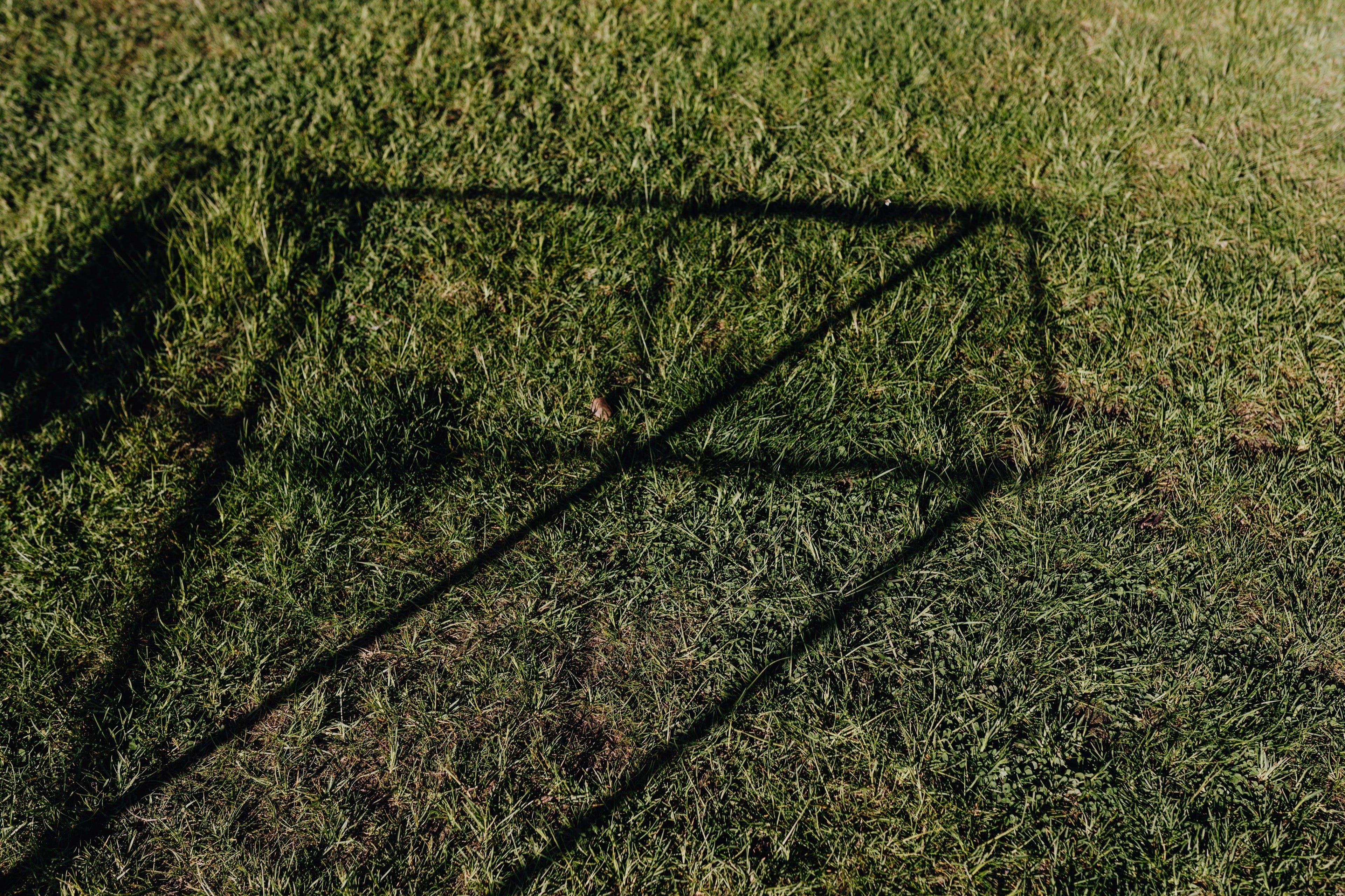 Warm-Season Turf in Late Summer: Potassium, Nitrogen, and the Approach of Fall