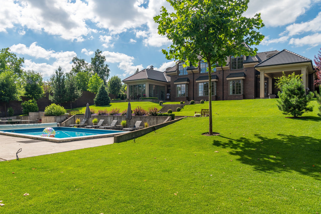 Should You Fertilize a Heat-Stressed Lawn in August? Often, the Answer Is Not Yet