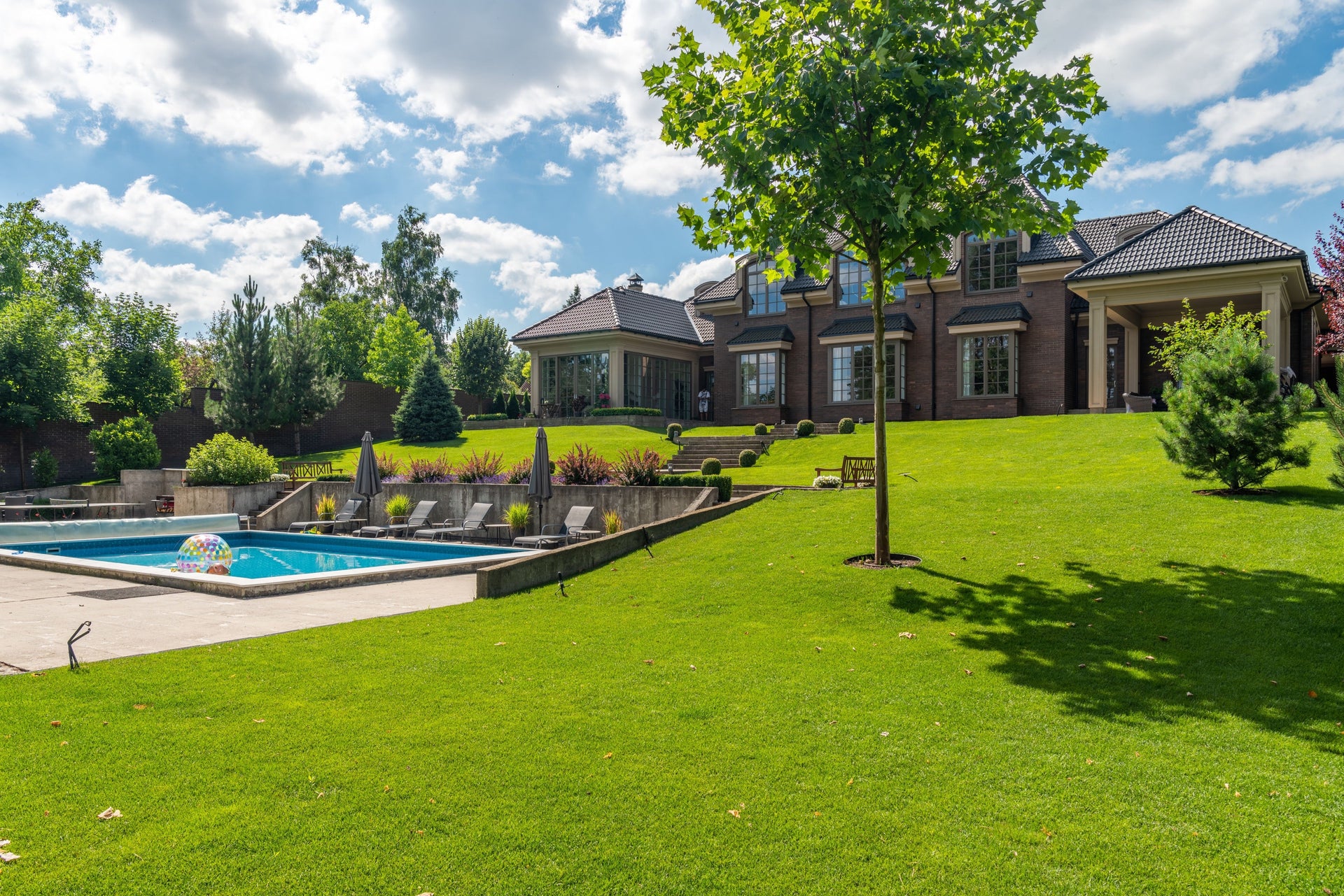 Should You Fertilize a Heat-Stressed Lawn in August? Often, the Answer Is Not Yet