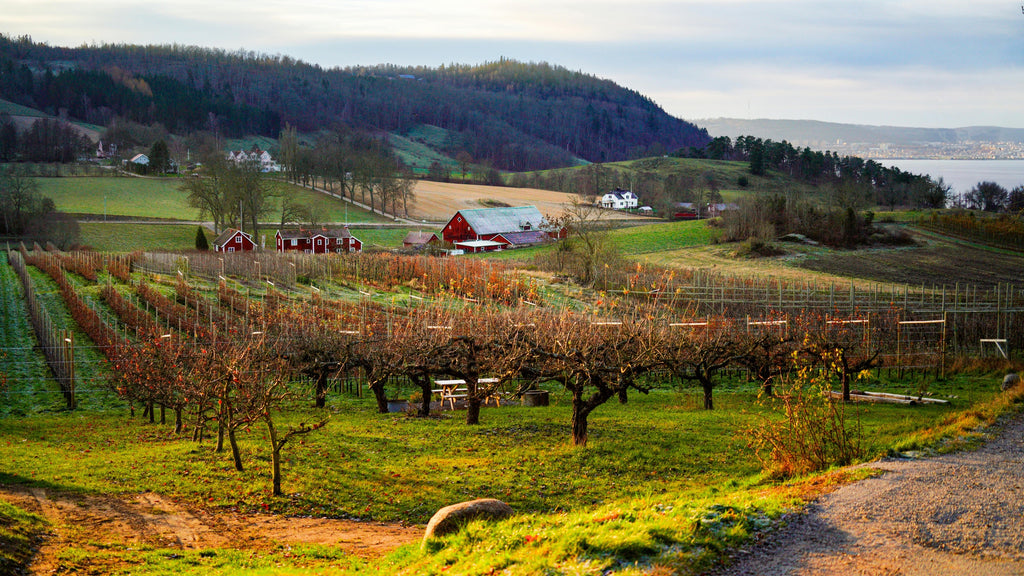 Waking Up Fruit Trees And Berries: Late Winter And Early Spring Fertility That Protects Buds And Builds Yield