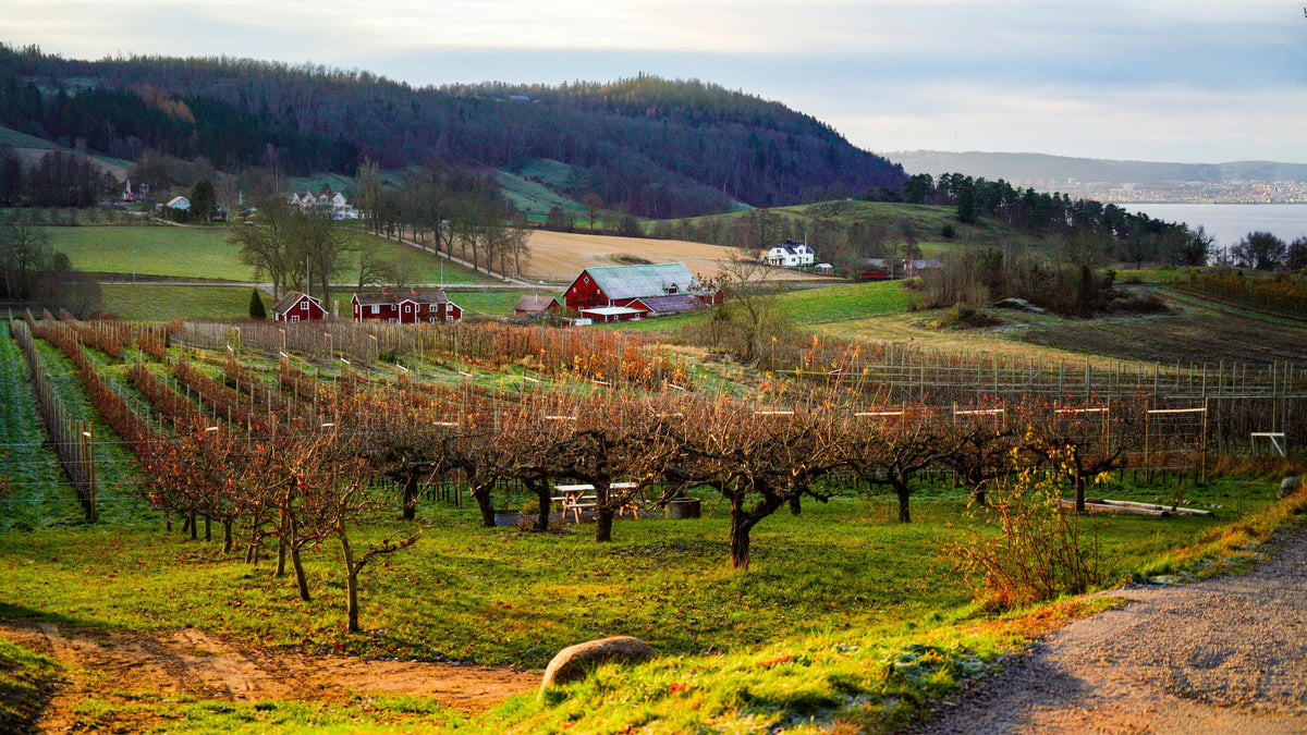 Waking Up Fruit Trees And Berries: Late Winter And Early Spring Fertility That Protects Buds And Builds Yield