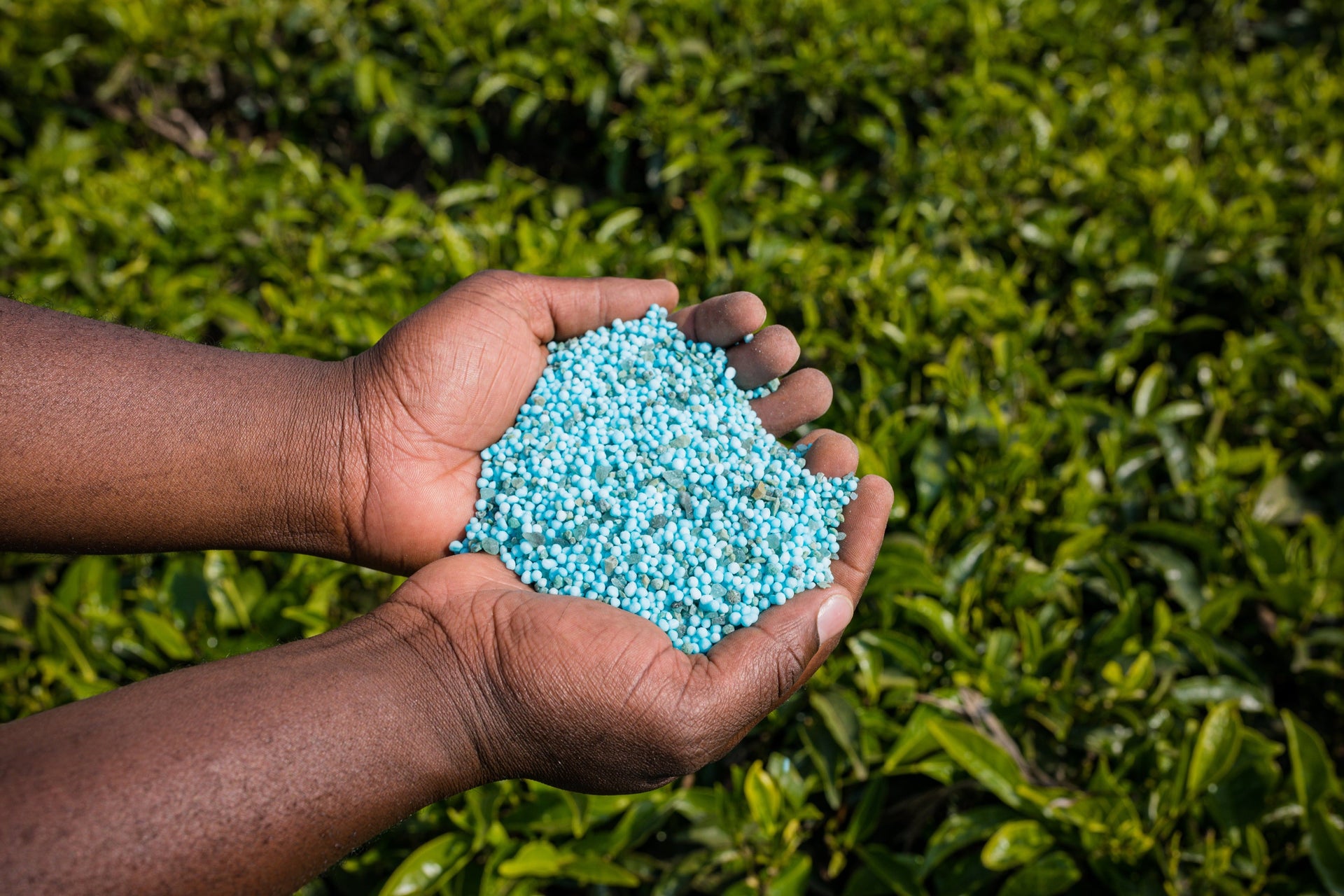 Why You Need to Reduce Your Synthetic Fertilizer Use