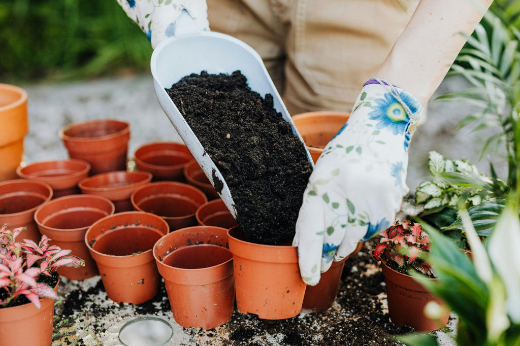 Why Sulfur Deserves More Attention in Fall Fertilization Plans