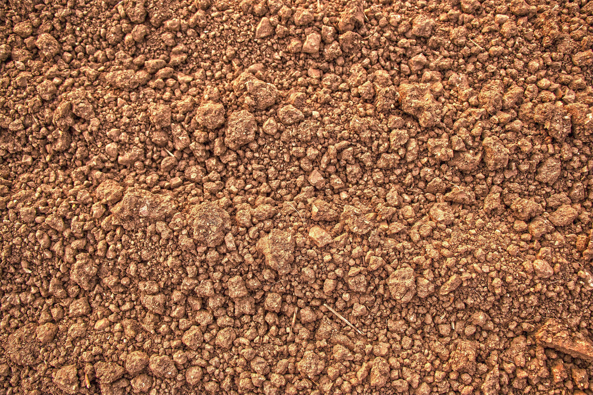 Fertilizer Is Expensive: Which Nutrients Should Farmers Prioritize This Fall?