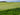 Warm-Season Turf in Late Summer: When to Feed Bermuda, Zoysia, and St. Augustine