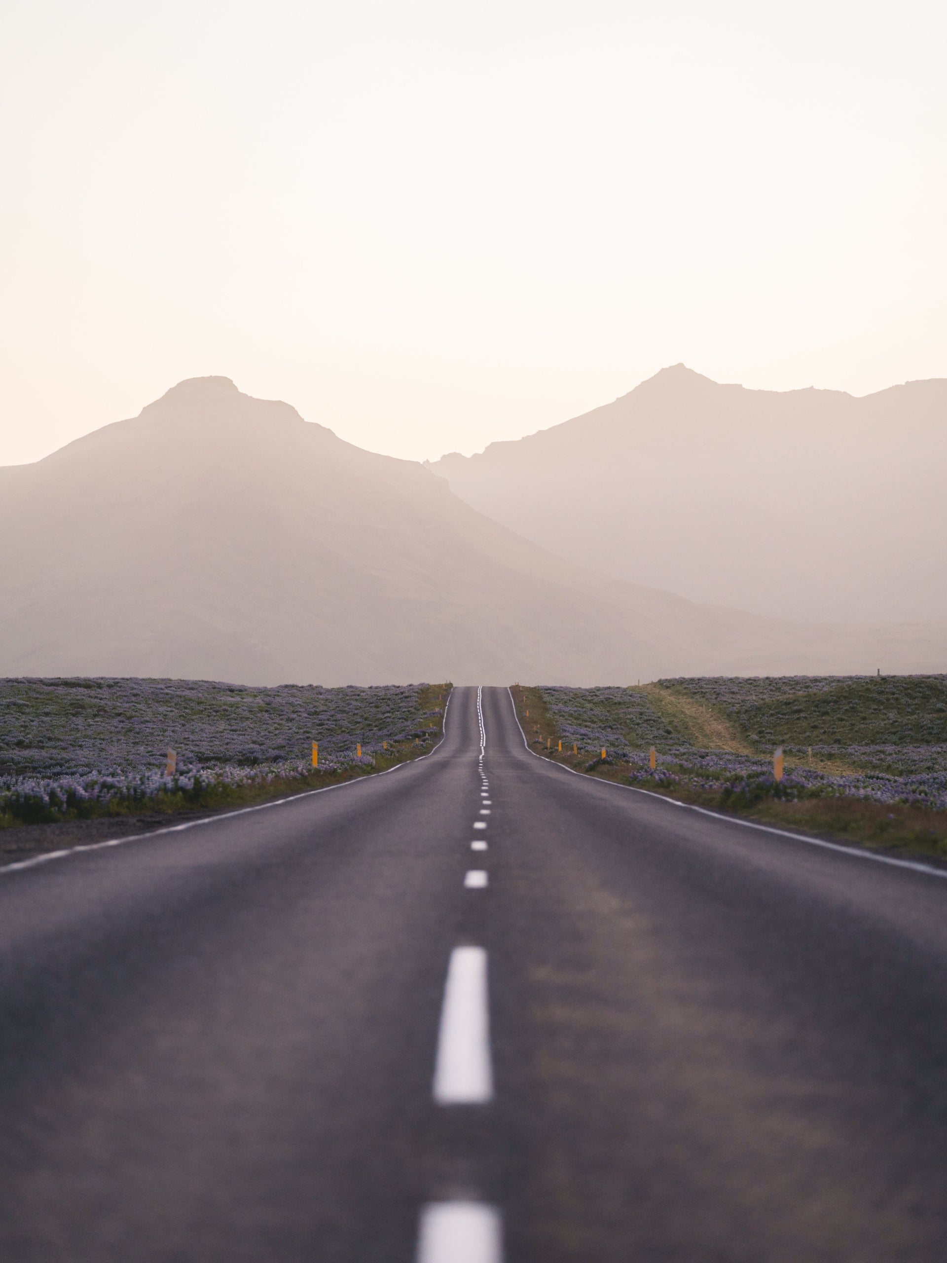 Why Choose Asphalt for Your Paving Project