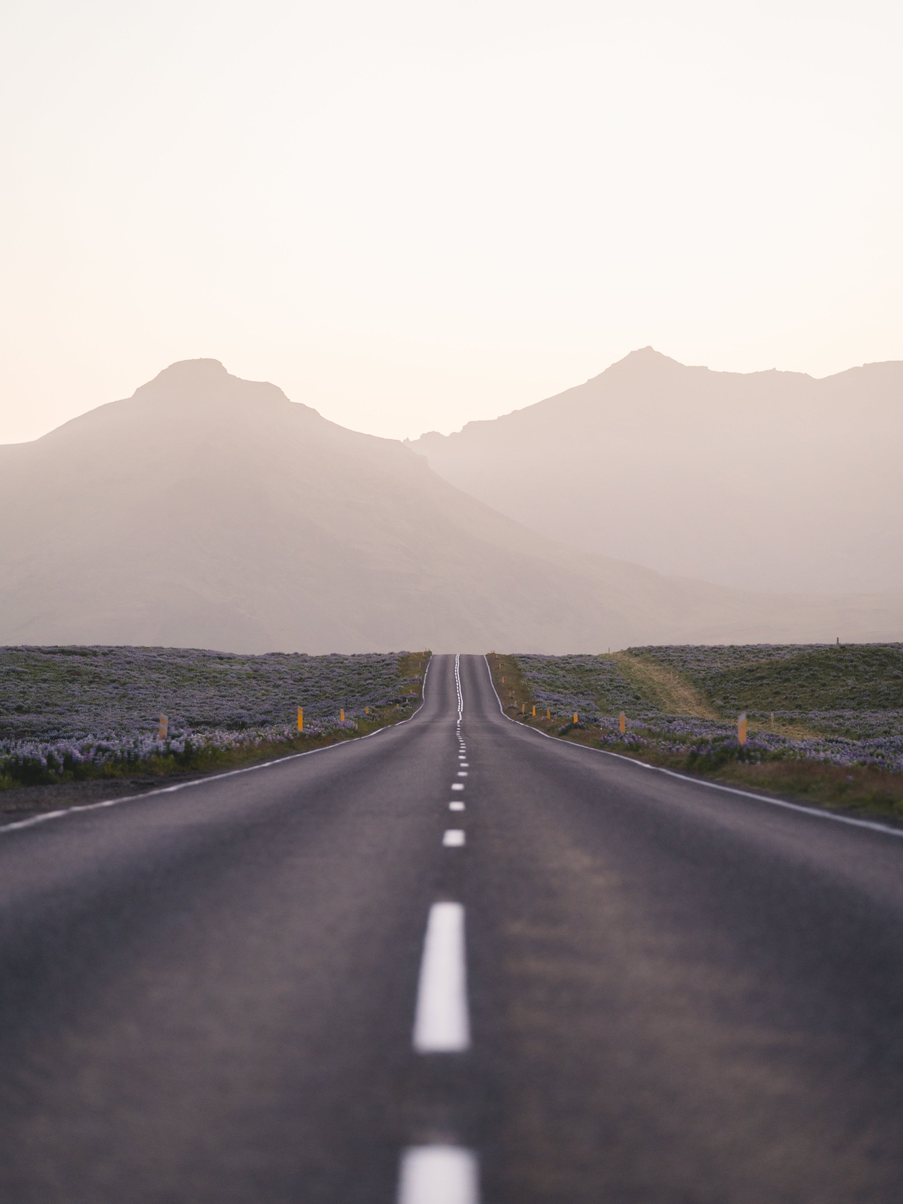 Why Choose Asphalt for Your Paving Project