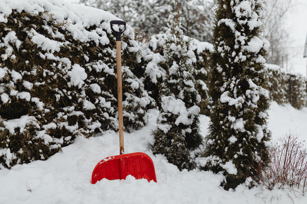 How to Choose the Right Snow Shovel