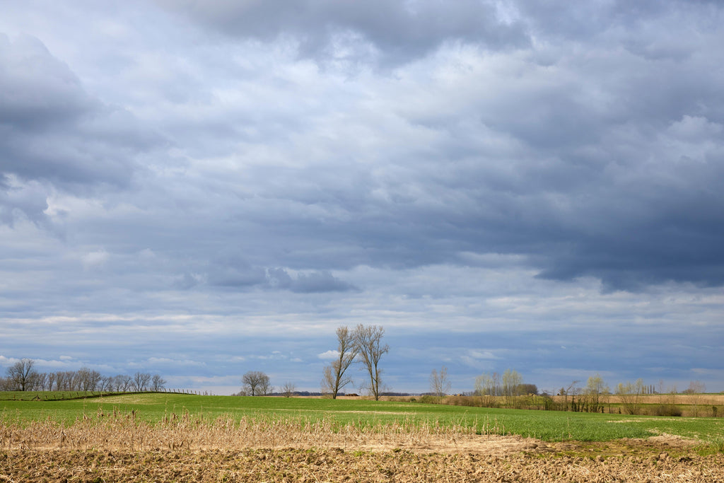 How Weather Affects Fertilizer Efficiency in April