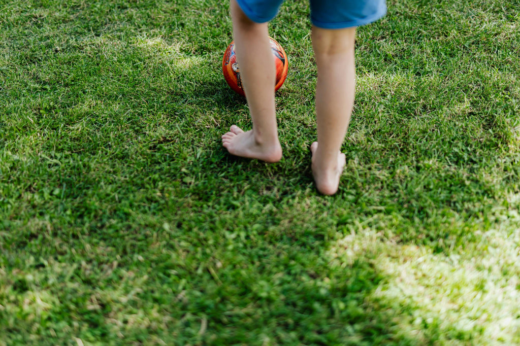 Fall Fertilizer Strategies for High-Traffic Lawns Using 16-16-16