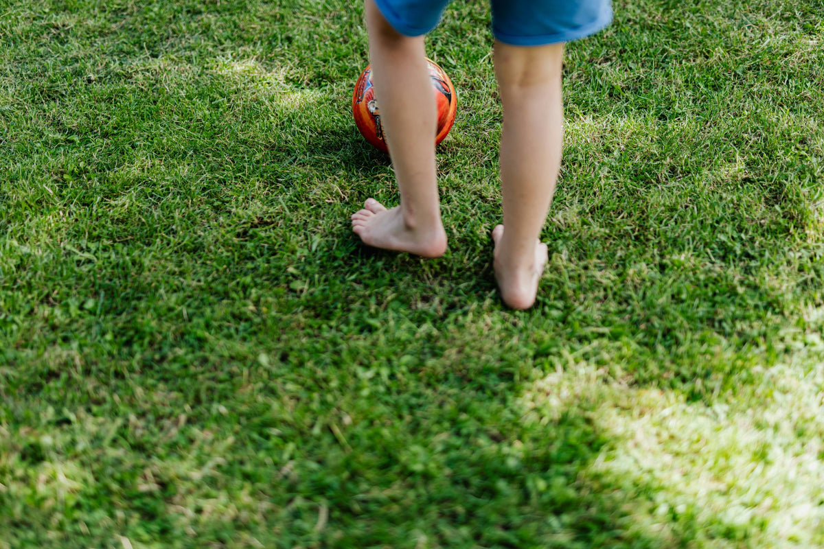 Fall Fertilizer Strategies for High-Traffic Lawns Using 16-16-16