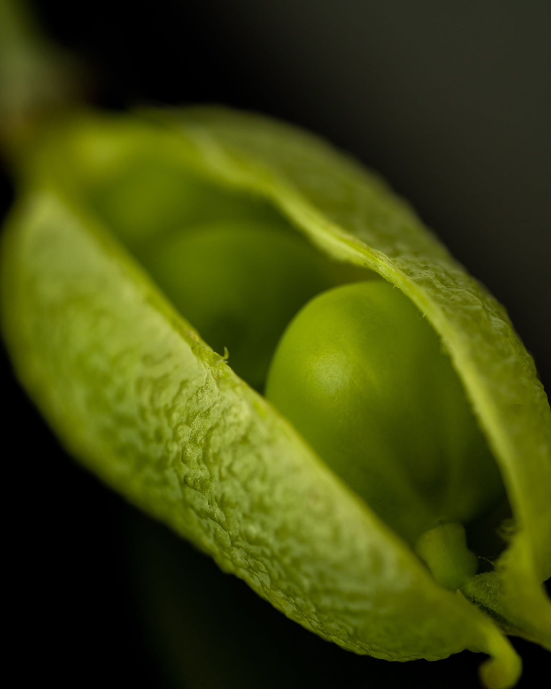 Soybean Pod Fill Under Heat and Moisture Stress: Protecting Seed Number and Size