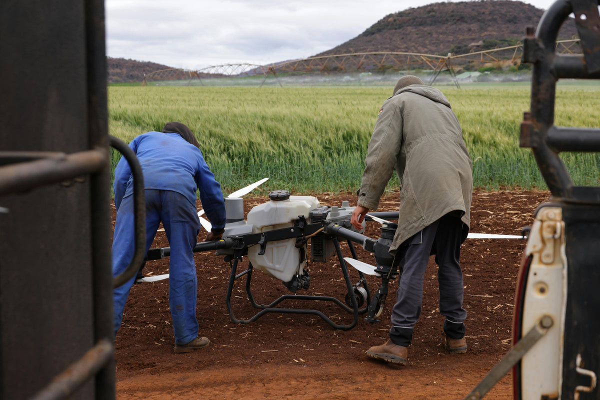 Organic vs Synthetic Fertilizers: What Works Best for Winter Soil Maintenance