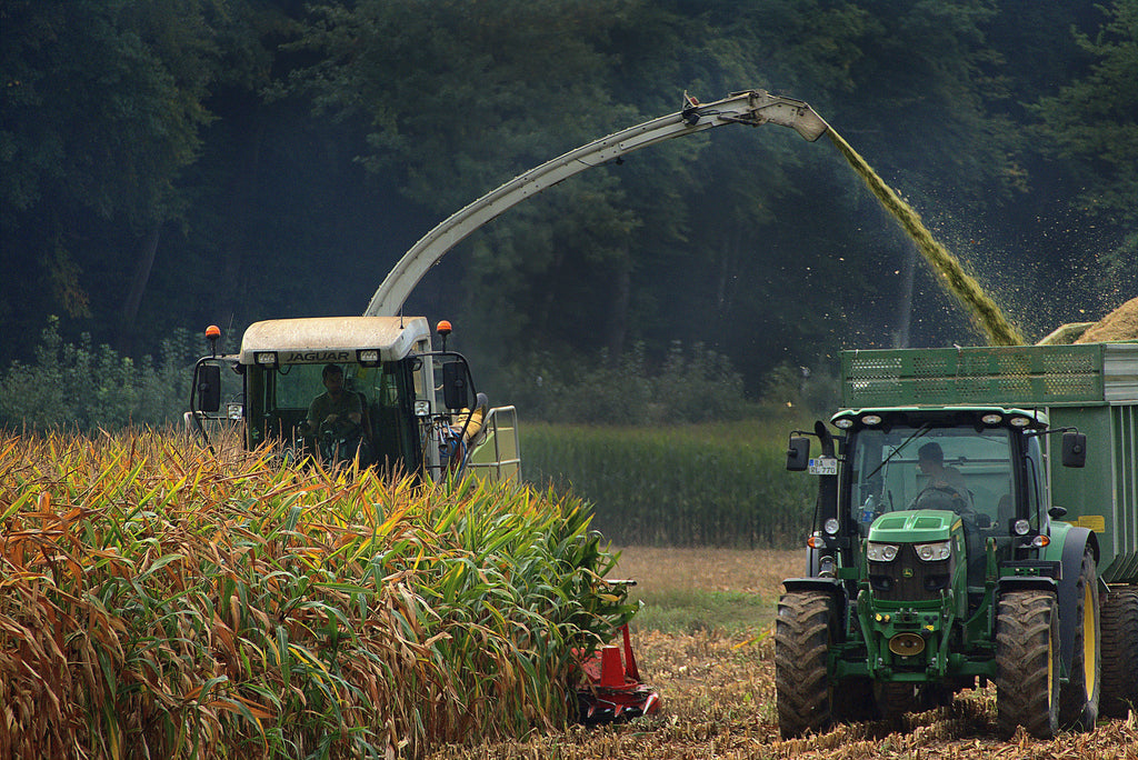 October Corn Residue Potassium: Why Rain After Harvest Changes the Potash Picture