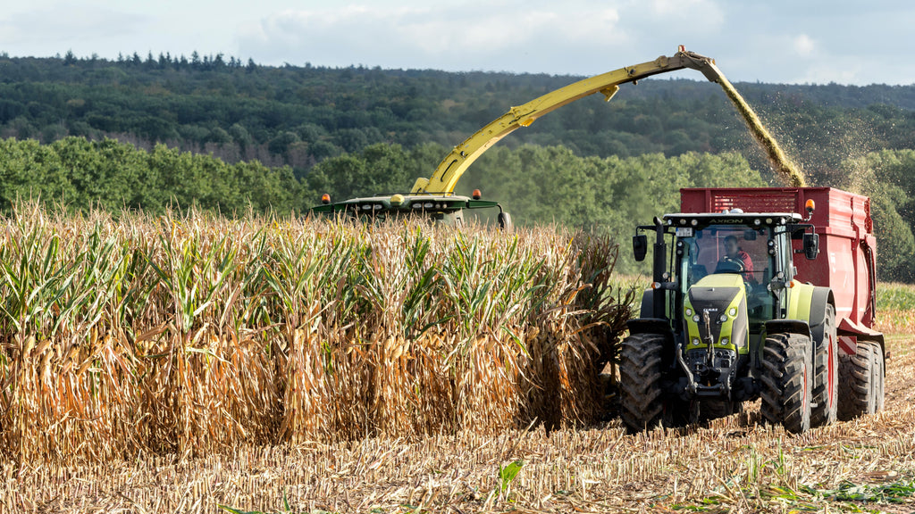 After Corn Silage Harvest: Why Potassium Needs a Different Budget Than Grain Corn
