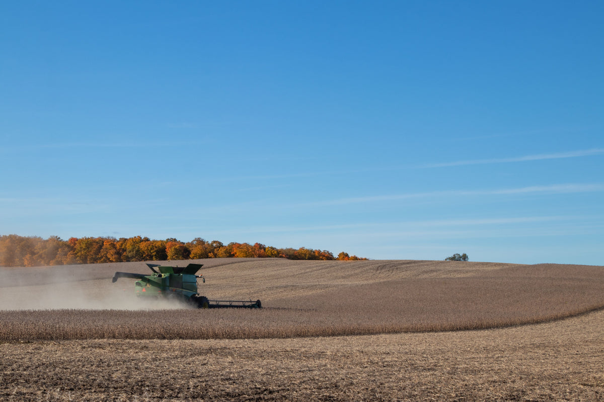 What Crop Residue Changes About Fall Potash Decisions