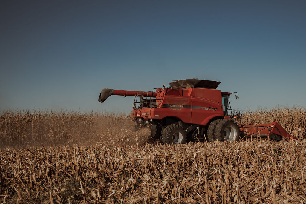 Sulfur Needs a Different Plan Than Fall Potash