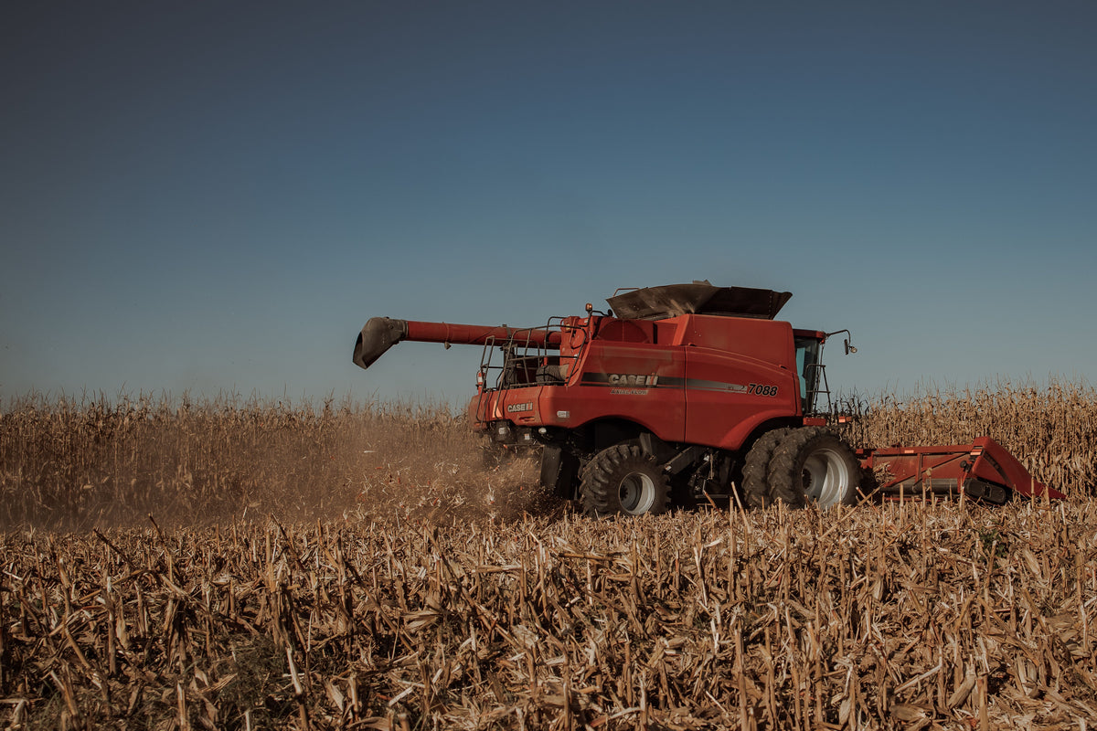 Sulfur Needs a Different Plan Than Fall Potash