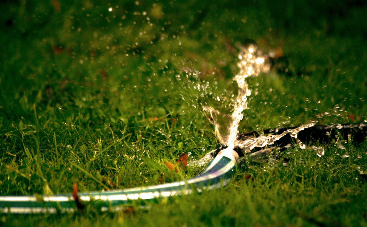 The Nitrogen Credit Already Sitting in Your Soil