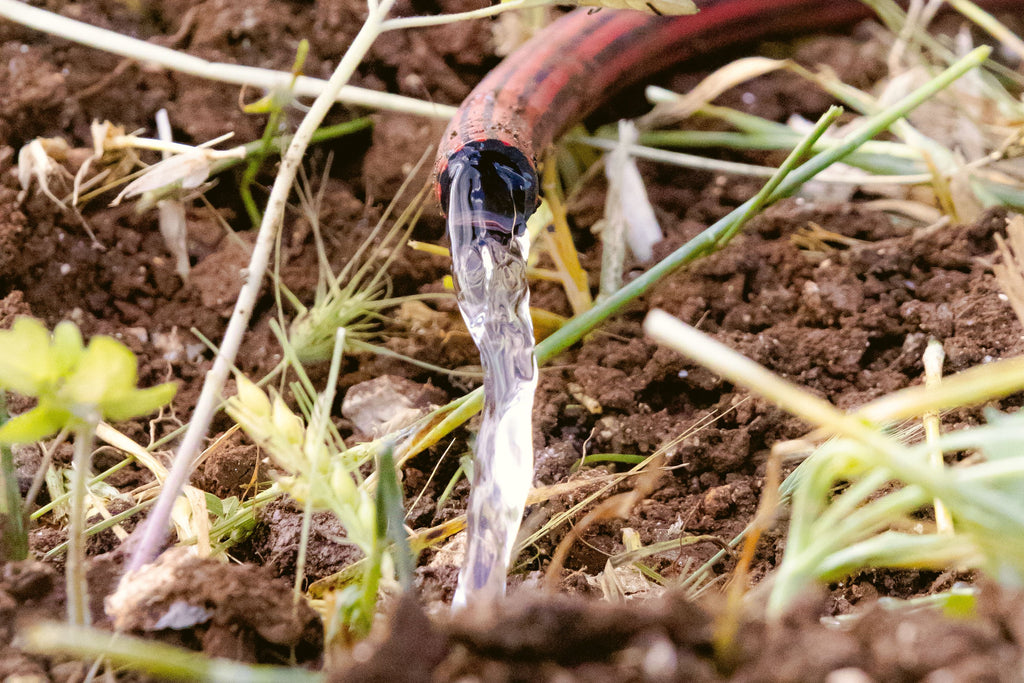 Potassium Won’t Create Rain, but It Can Help Crops Use Water Better