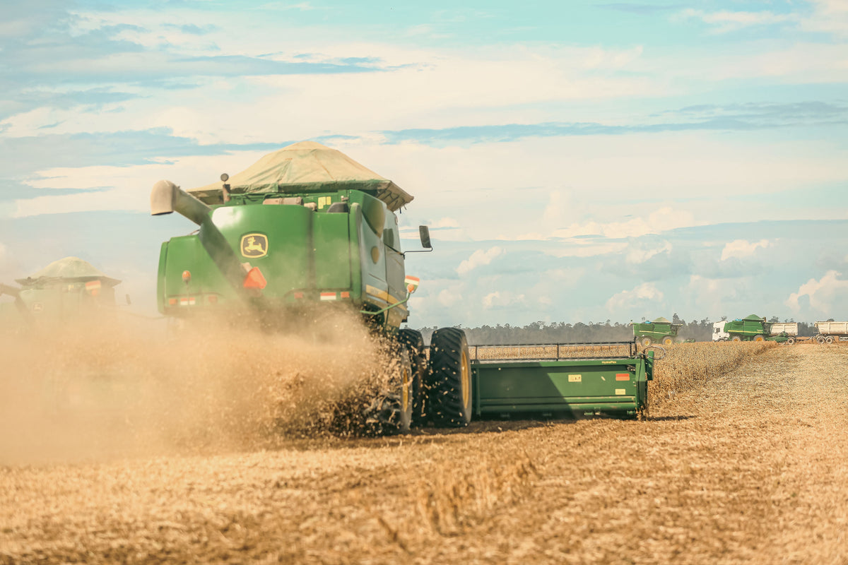 After Soybean Harvest: Does the Field Really Need More Potash?
