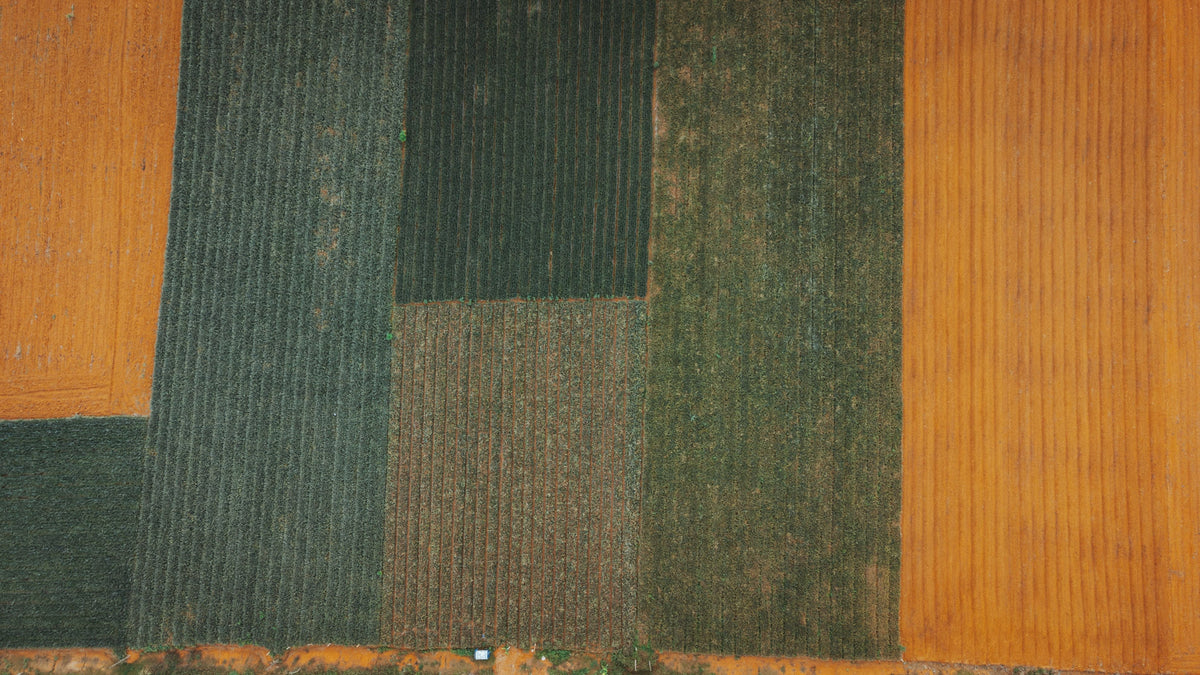 September Potassium Planning: Does Your Field Need Potash After Harvest?
