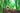 Planting Spring Bulbs in September: Build the Root Zone Before Winter
