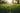 September Lawn Overseeding: Fix Thin Cool-Season Turf Before Winter