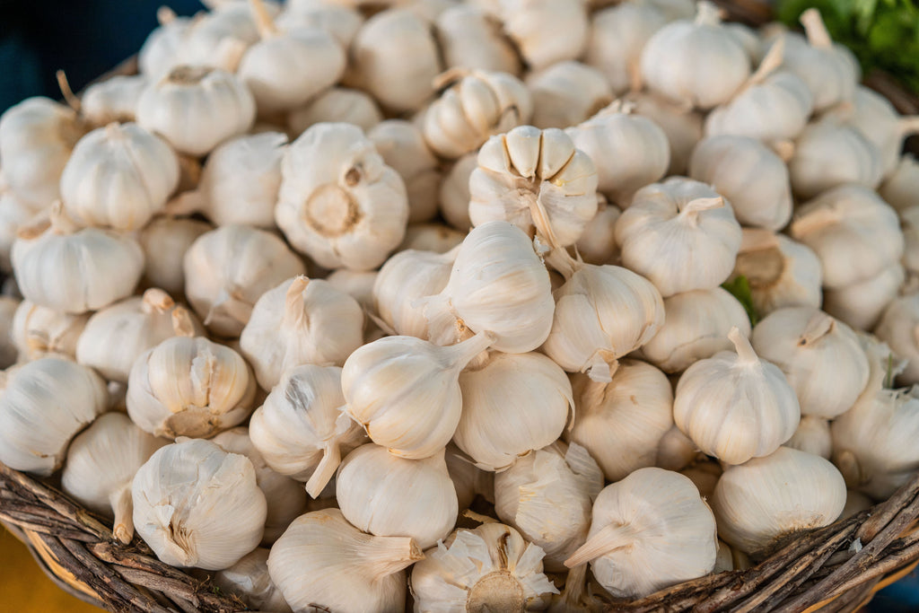 Fall Garlic Planting: Build the Root Zone Before Winter