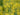 September Winter Canola Establishment: Build Enough Fall Growth Without Overfeeding the Crop