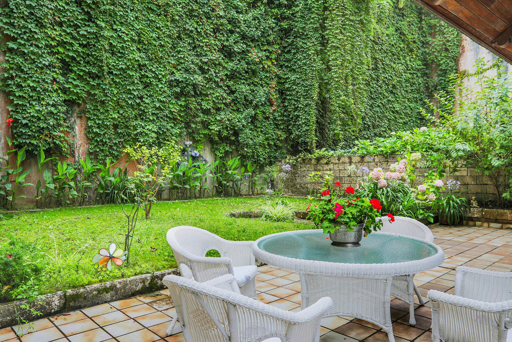 Fertilizing New Lawns in Summer: Do’s, Don’ts, and Best Products