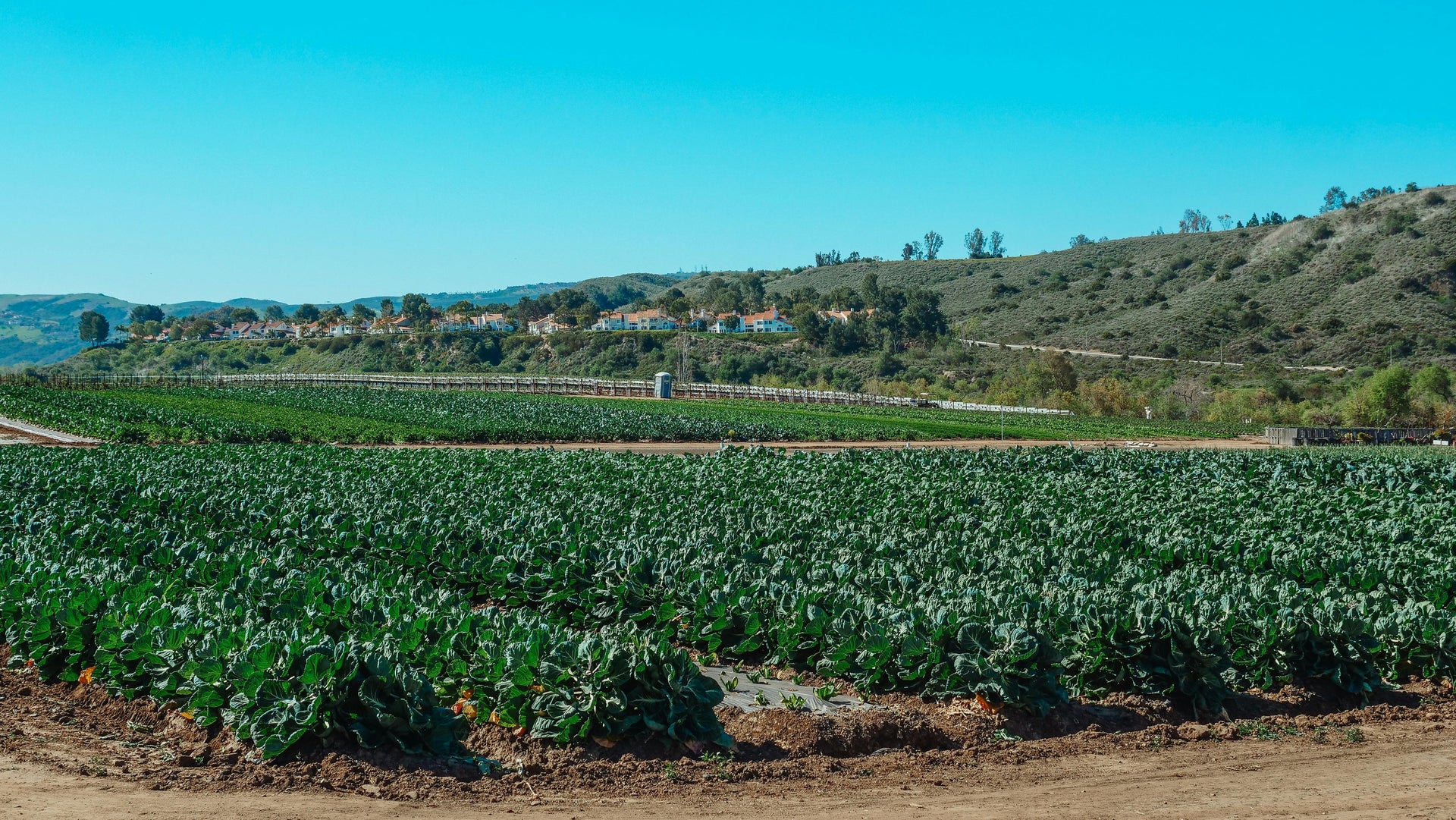 Preparing Crops for Late March Fertilization and Early Growth Acceleration