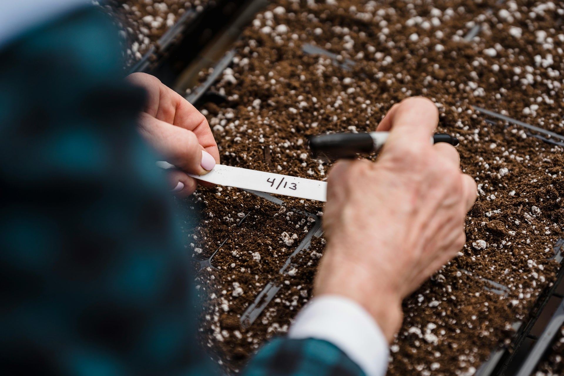 The Importance of Calcium in Early Plant Development