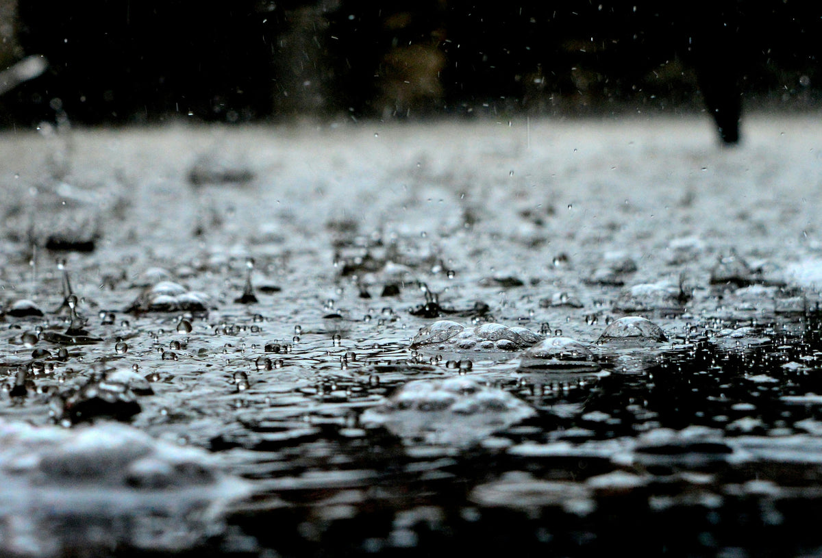 How Weather Conditions Affect Fertilizer Efficiency