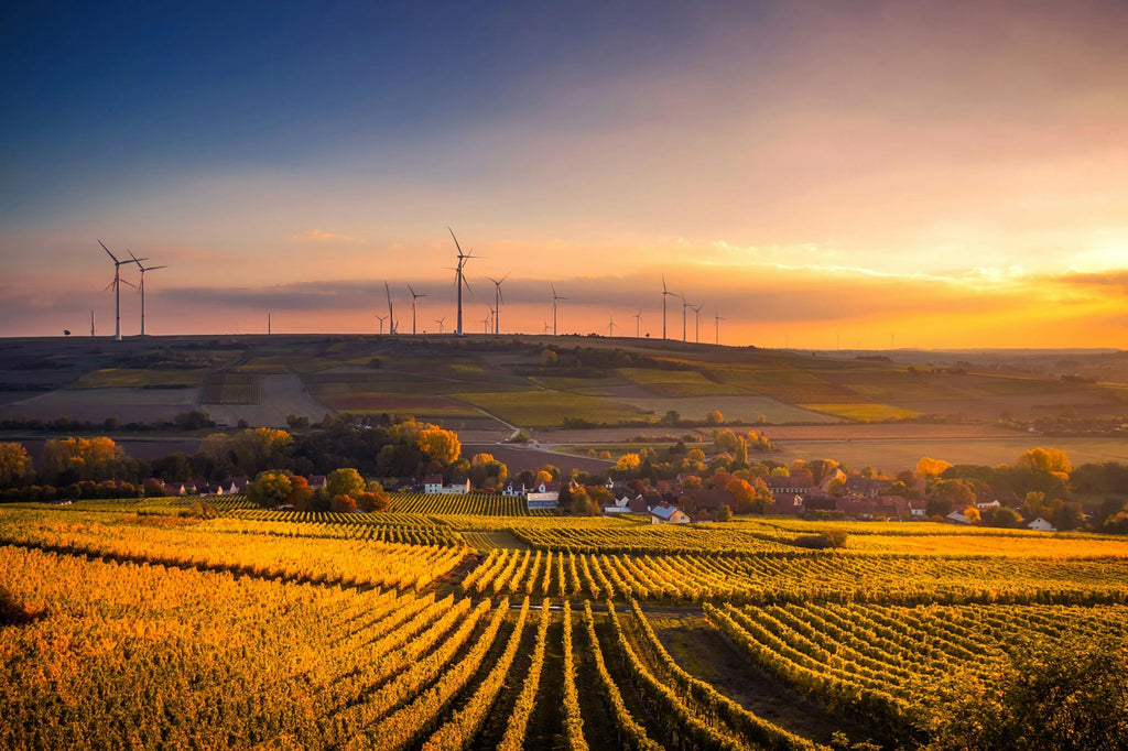 The Role of Potash in Sustainable Agriculture and Global Food Security