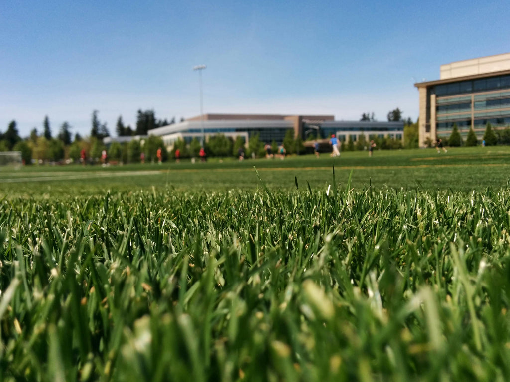 The Importance of Lawn Aeration: A Complete Guide to Healthy, Vibrant Grass