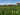 The Importance of Lawn Aeration: A Complete Guide to Healthy, Vibrant Grass