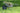 Micronutrients Matter: Why Triple 10 Fertilizer Beats Generic NPK Blends