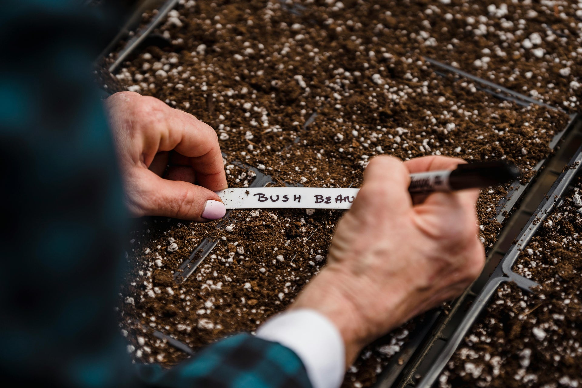 Why Magnesium is Essential for Plant Growth: Benefits and Sources Explained