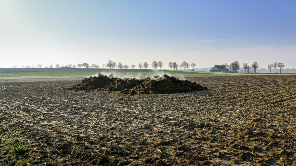 Should You Mix Organic and Chemical Fertilizers?