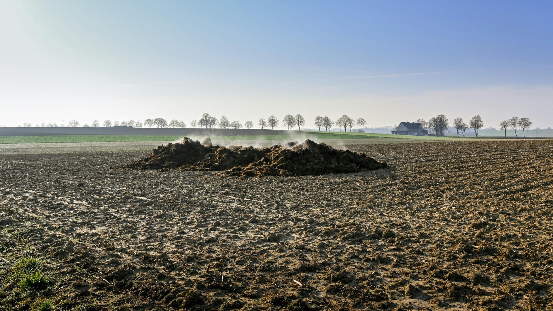 Should You Mix Organic and Chemical Fertilizers?