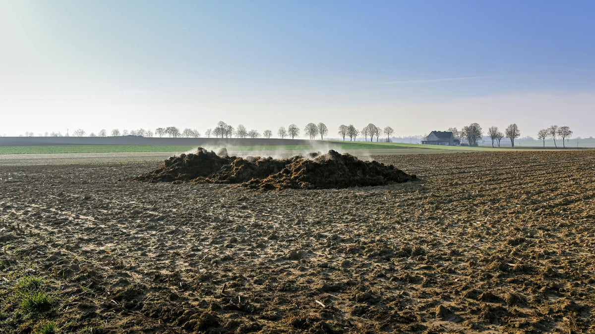 Should You Mix Organic and Chemical Fertilizers?